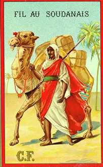 Sudanese: Printer's Sample, Fil au Soudanais