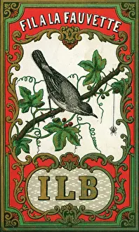 Warbler: Printer's Sample, Fil a la Fauvette