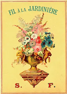 Jardiniere: Printer's Sample, Fil a la Jardiniere