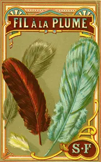 Plume: Printer's Sample, Fil a la Plume
