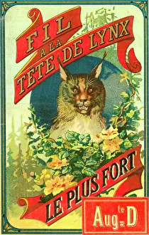 Tete: Printer's Sample, Fil a la Tete de Lynx