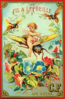 Bees: Printer's Sample, Fil a l'Abeille