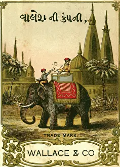 Trademark: Printer's Sample, Wallace & Co
