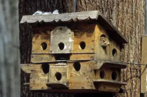 Feeder: Prioksko-Terrasny Nature Reserve, 1986