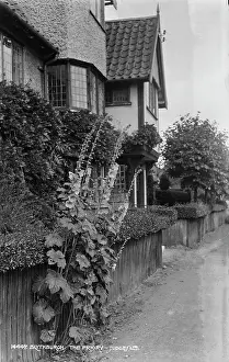 Hedges: The Priory, Blythburgh