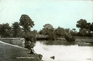 Taunton: The Priory Lake, Taunton, Somerset