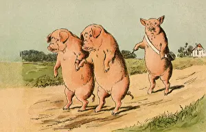 Precede: Prisoner Pigs