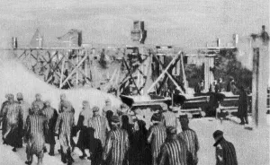 Auschwitz: Prisoners in the Auschwitz concentration camp