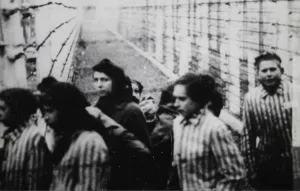 Nationalsocialism: Prisoners in the concentration camp Auschwitz Birkenau