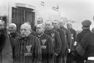 Sachsenhausen: Prisoners in the concentration camp at Sachsenhausen