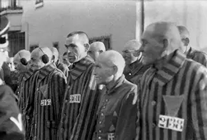 Sachsenhausen: Prisoners in the concentration camp at Sachsenhausen