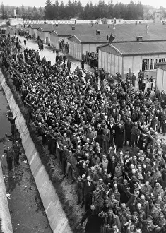 Lcgr1509: Prisoners at Dachau shout a greeting to liberating