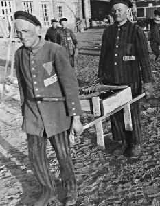 Particular: Prisoners in the Sachsenhausen concentration camp