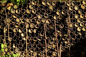Maur: A private collection of WW1 munitions