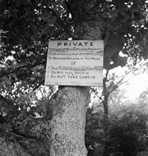 Nailed: Private Wood, Wiltshire
