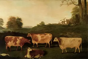 Enclave: Four Prize Cattle