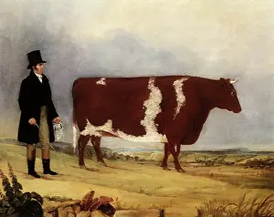 Heifer: Prize Heifer and Owner