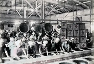 Meiji: Processing tea, Japan, c.1880's