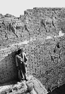 Enamel: Processional way to the Marduk temple in Babylon, 1926