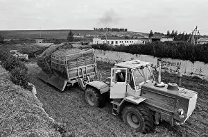 Silage: Procurement of fodder