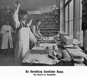 Supervisor: Production of artificial roses, 1907