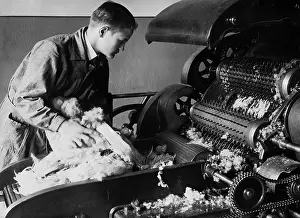 Apart: Production of cotton, 1935