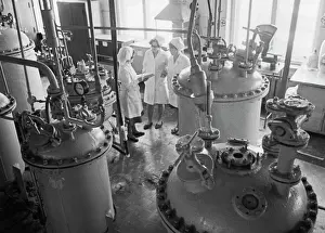 Sector: Production of pharmaceutical preparations