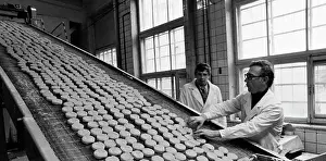 Potato: Production of potato patties at Koloss plant