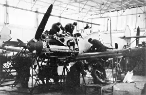 Pursuit: Production of pursuit planes in Germany
