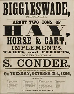 Biggleswade: Products - Biggleswade Hay