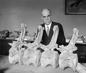 Middle Aged: Prof. Charles Gilmore of Smithsonian Institution