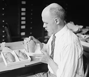 Middle Aged: Prof. Charles Gilmore of Smithsonian Institution