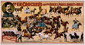 Crocker: Prof. EK Crocker's educated horses, ponies, donkeys & mules
