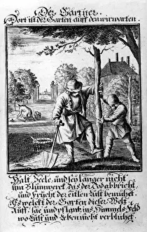 Weigel: professions, gardener, copper engraving from
