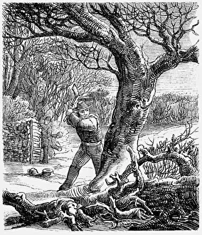Felling: professions, lumberjack, wood engraving, Germany