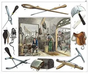 Saddles: Professions Series