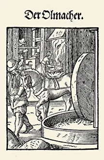 Beschreibung: Professions Series