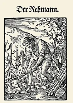 Beschreibung: Professions Series