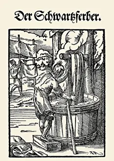 Beschreibung: Professions Series
