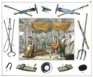 Schreiber: Professions Series