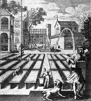 Weigel: professions, wax bleacher, copper engraving from