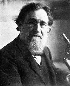 Elie: Professor Elie Metchnikoff