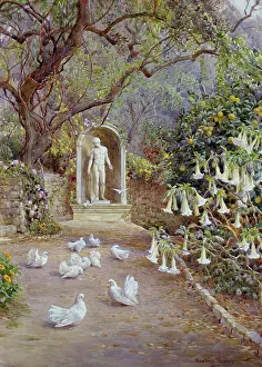 Professors: In the Professors Garden, Bordighera
