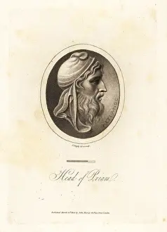 Priam: Profile bust of King Priam of Troy