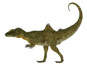 Concavenator: Side profile of a Concavenator dinosaur