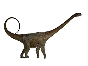 Malawisaurus: Side profile of a Malawisaurus dinosaur
