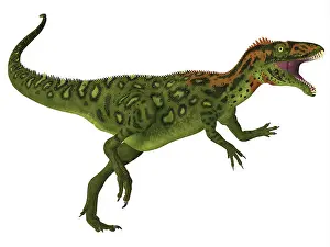 Ceratosaur: Side profile of a Masiakasaurus dinosaur