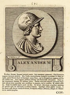 Gods And Heroes: Profile portrait of Alexander the Great