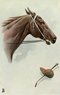 Equestrianism: Profile portrait of a racehorse
