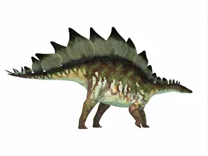 Kimmeridgian: Side profile of a Stegosaurus dinosaur